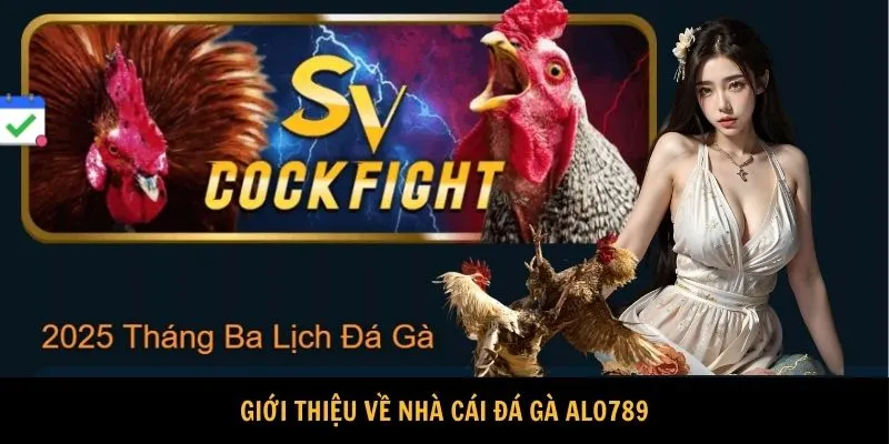 Hướng dẫn tham gia đá gà đòn tại ALO789